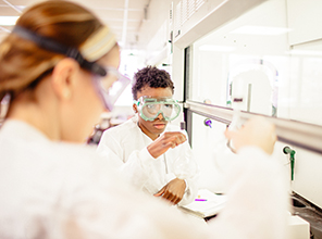 Students working on an experiment