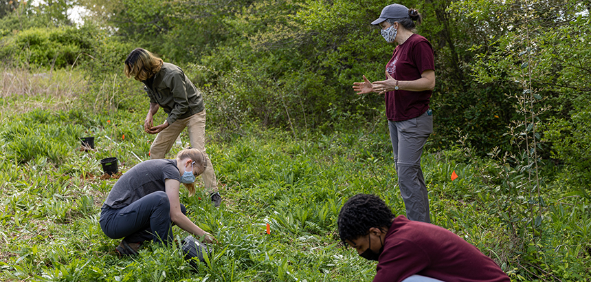 Professor with students in the field