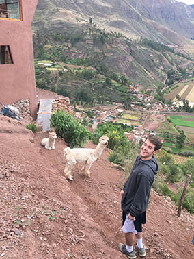 A student with llamas