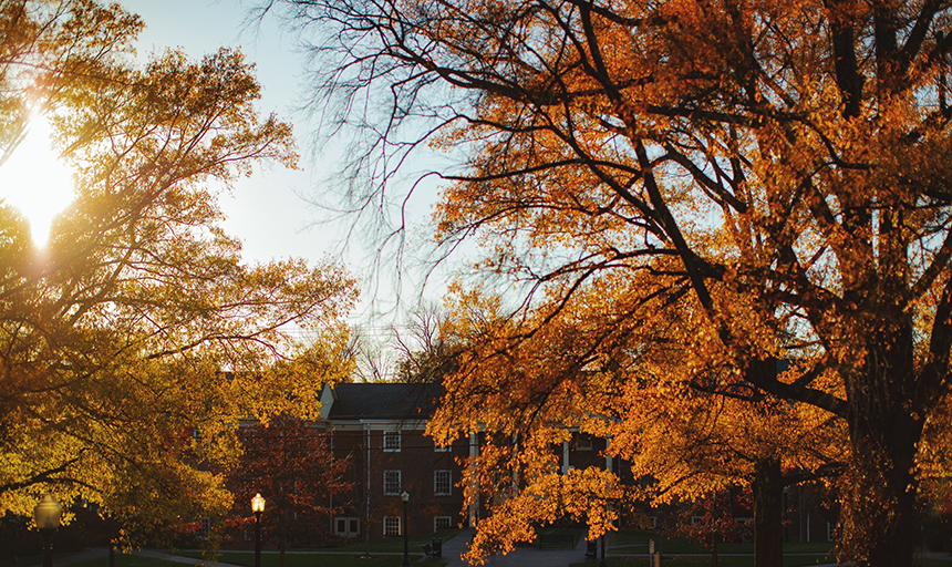 fall leaves on campus