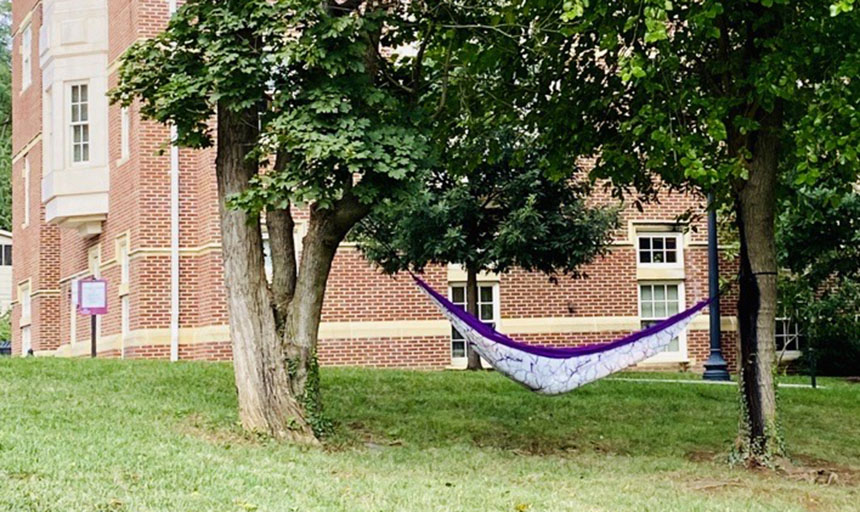 student in a hammock