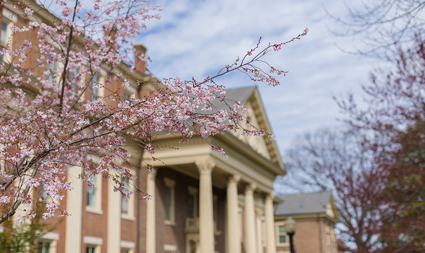 tree blooming in front of Administration Building