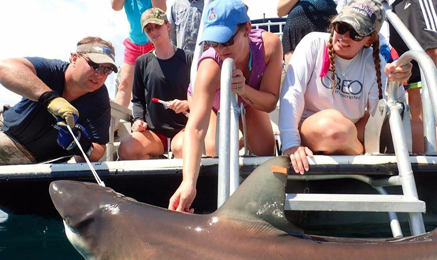 People on boat inspect shark in water