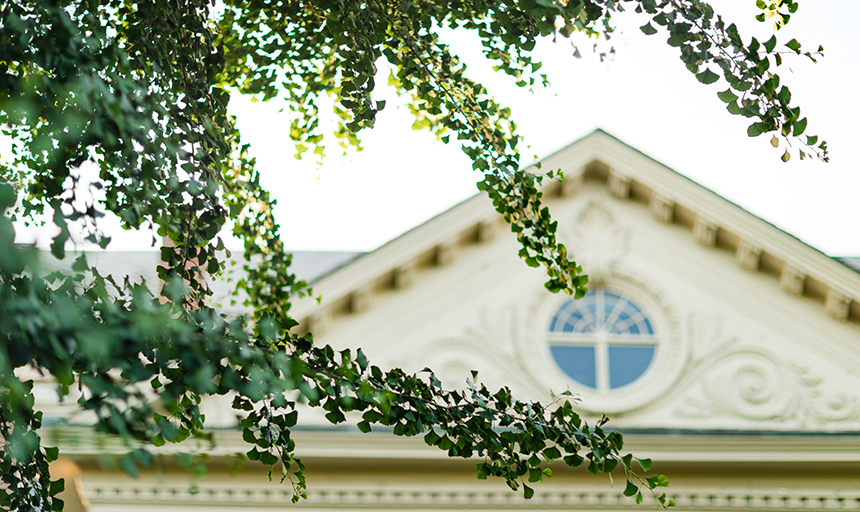 summer leaves in front of campus building