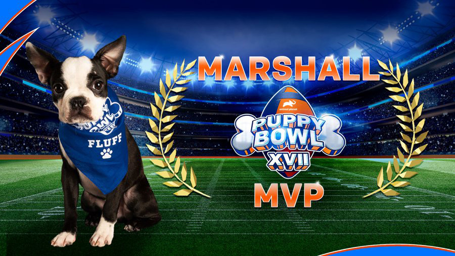 Puppy Bowl 2021 MVP