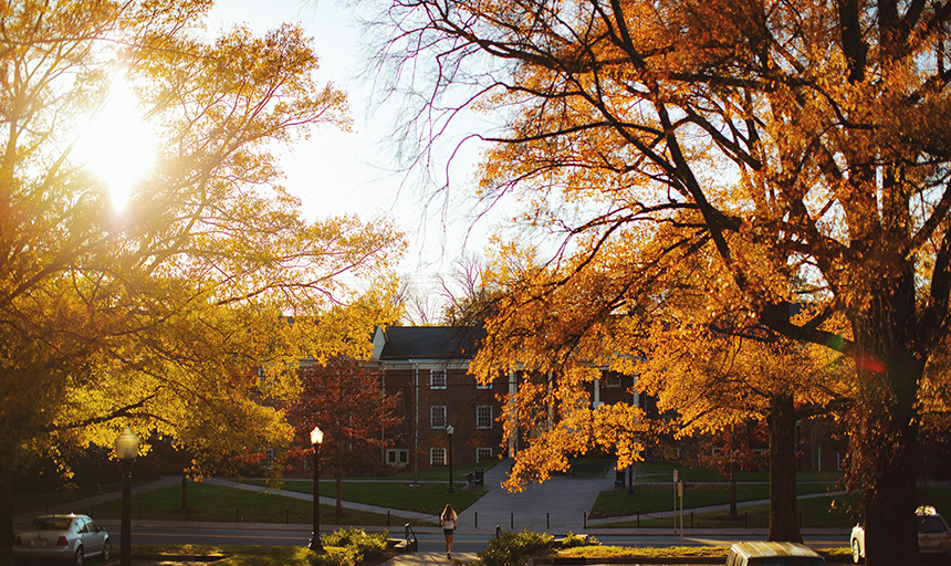 sun shining through fall trees on campus