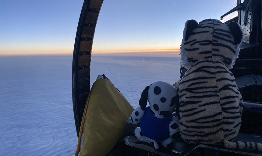 Stuffed animals in cockpit of a fighter jet