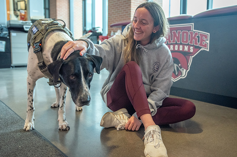 Milo hangs out with field hockey player Martha Hurley '24 in the training clinic.