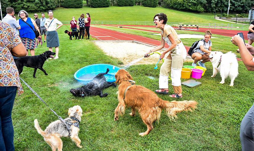 Kelly Shushok showers a pooch during the pop-up dog park on Aug. 26 at Alumni Field.