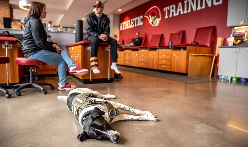 Milo takes a break while Oney works with wrestler Michael Policarpio '26.