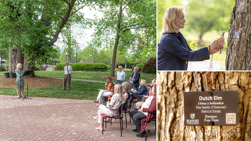 collage of three photos showing people at the alumni weekend event and the qr code placard unveiled