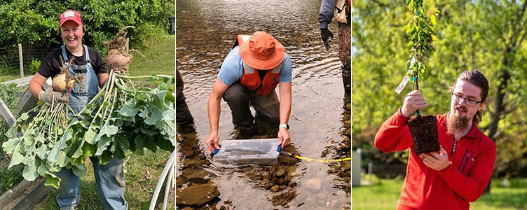 collage of three pictures showing students working in the campus garden, in a local river and in a tree planting project