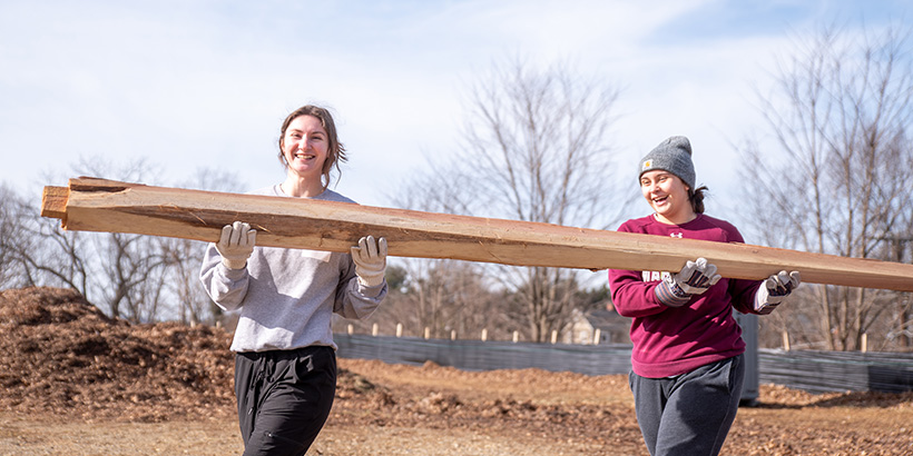 Two students carry wooden fence planks