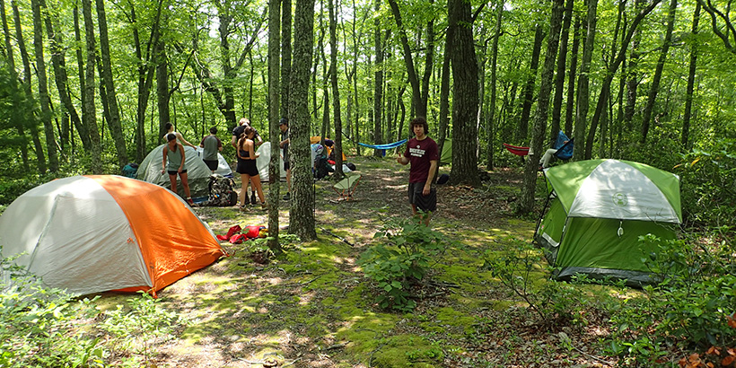 Tents dot the landscape as students set up camp for the night in the deep woods