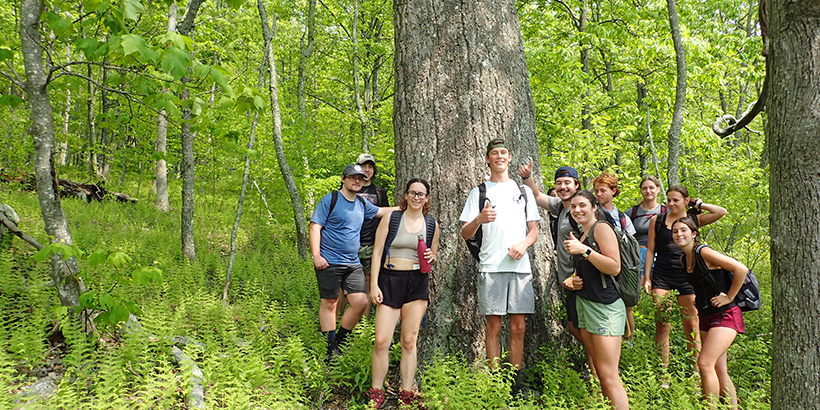 Students smile for a photo clustered around a towering tree whose top could not be captured in the photo