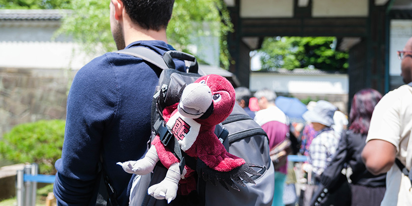 A stuffed animal of Roanoke College's mascot, Rooney the bird, dangles from a student's backpack during a city tour