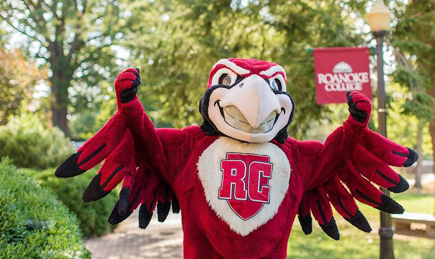 Roanoke College mascot Rooney
