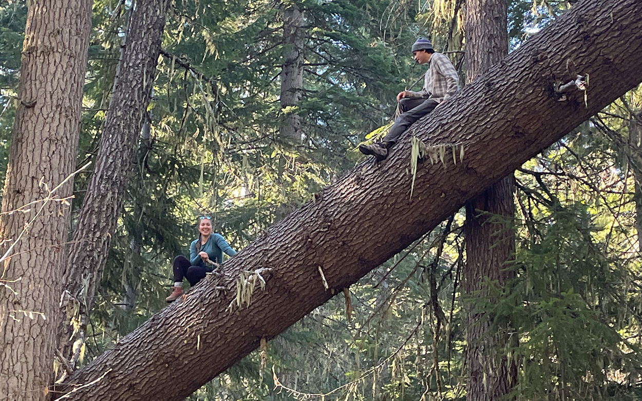 Students in the woods sitting on a large, forked tree branch