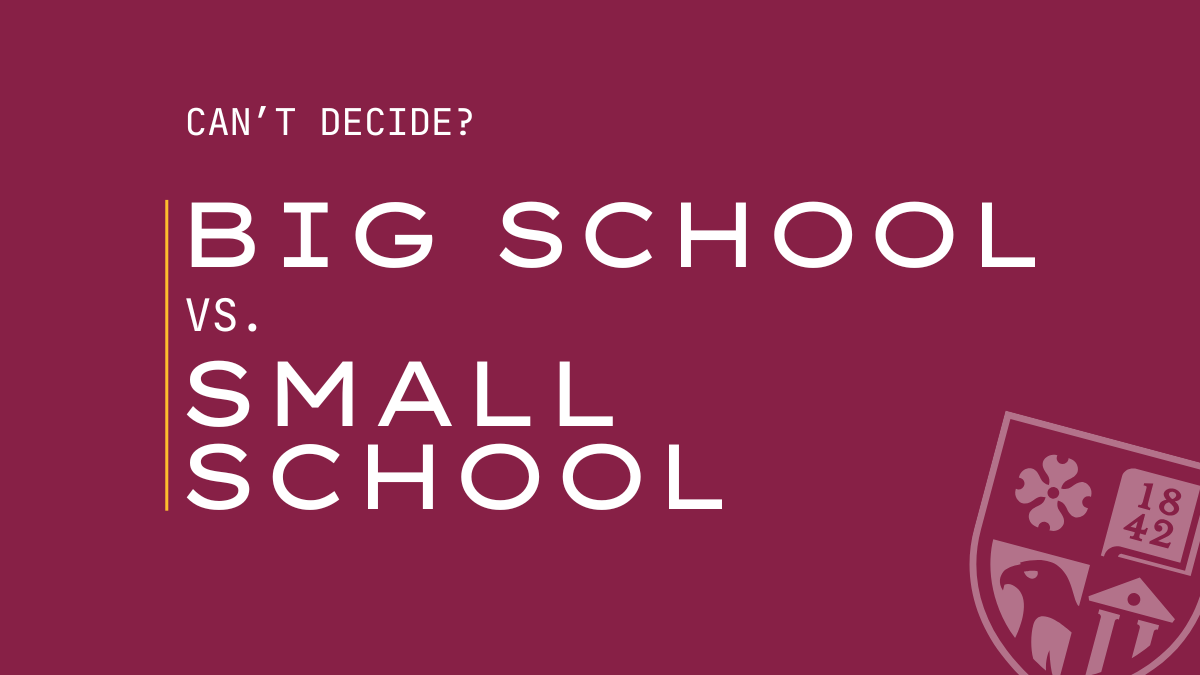Can't Decide? Big School vs. Small School