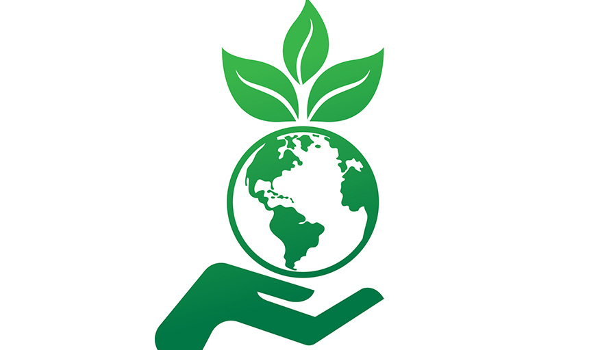 Princeton Review names Roanoke College a top green school news image
