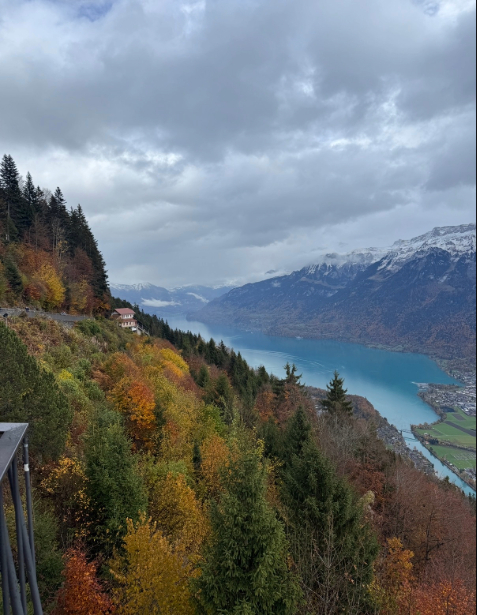A lake in Lugano is pictured in the background with a cloudy sky and fall-colored leaves in the foreground. 