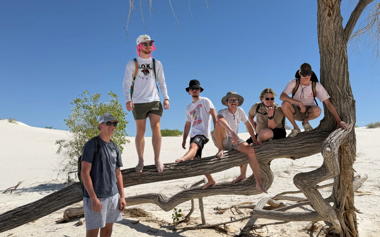 A small group of students stands or sits on a tree branch that is low and parallel to the ground. They are surrounded by white sand and the sky is blue and clear.  