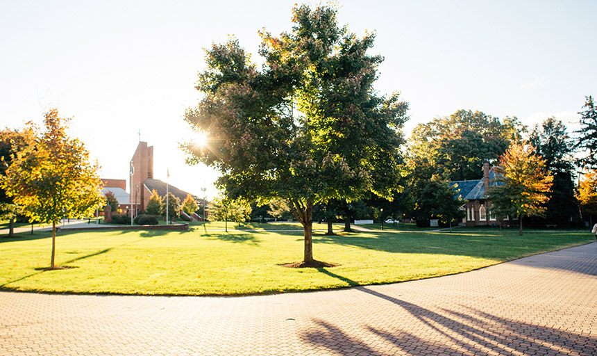 Roanoke College Back Quad