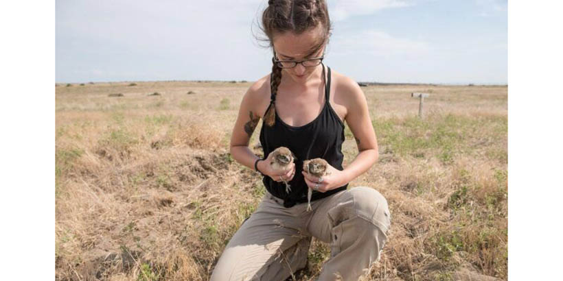 Julia Mello in the field with two baby owls