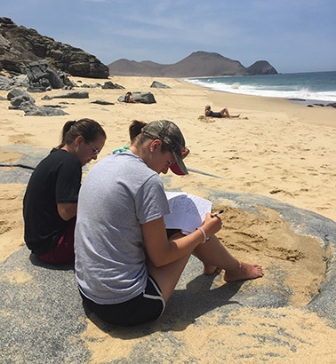 Students journaling on the beach in Mexico