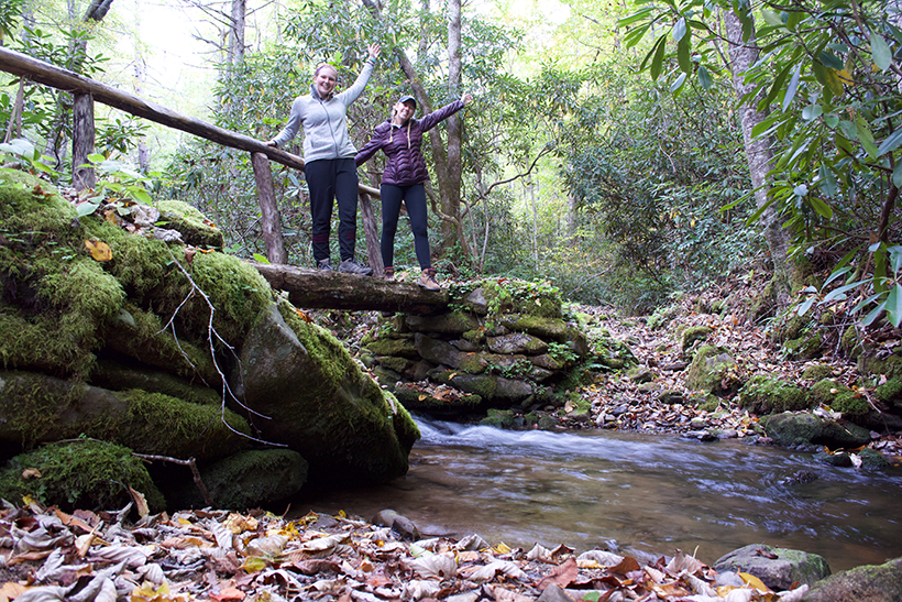 Students standing on a bridge over a creek