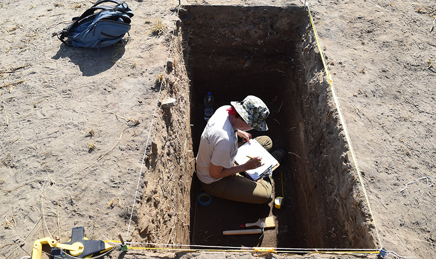 dr. warden digging