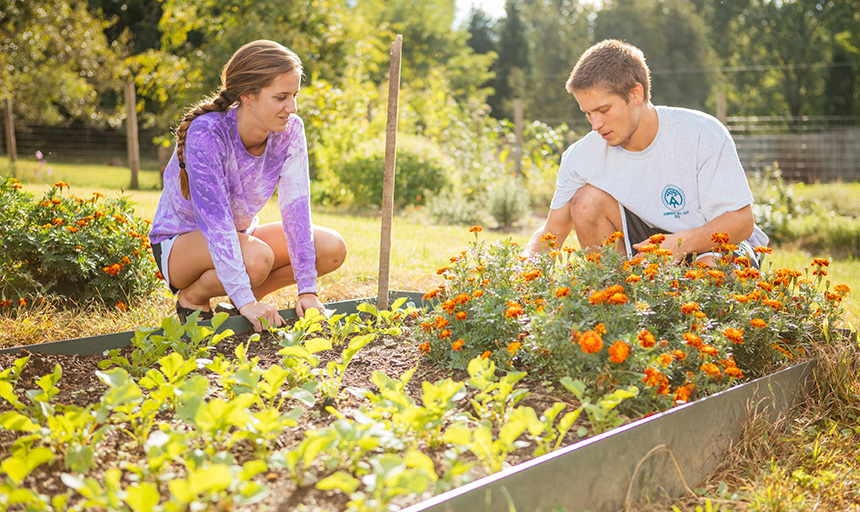 Students working in the student garden