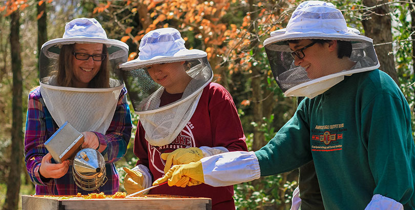Beekeeping society taking care of their bees