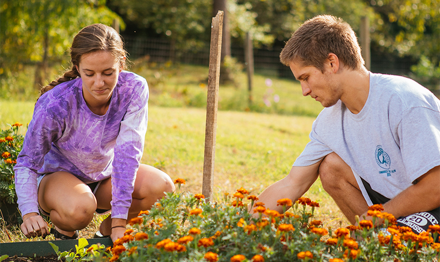 Roanoke College students taking care of the garden