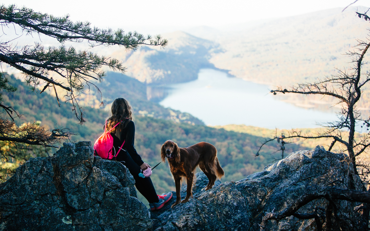 student and dog overlooking valley