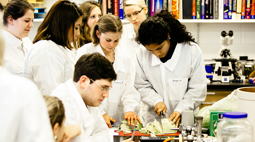 students in a lab