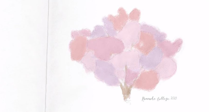 Tree of 40 Fruit drawing