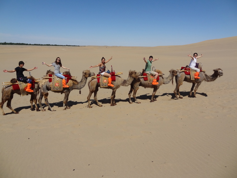Students riding on camels with their professor
