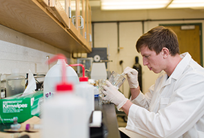 student working in a lab