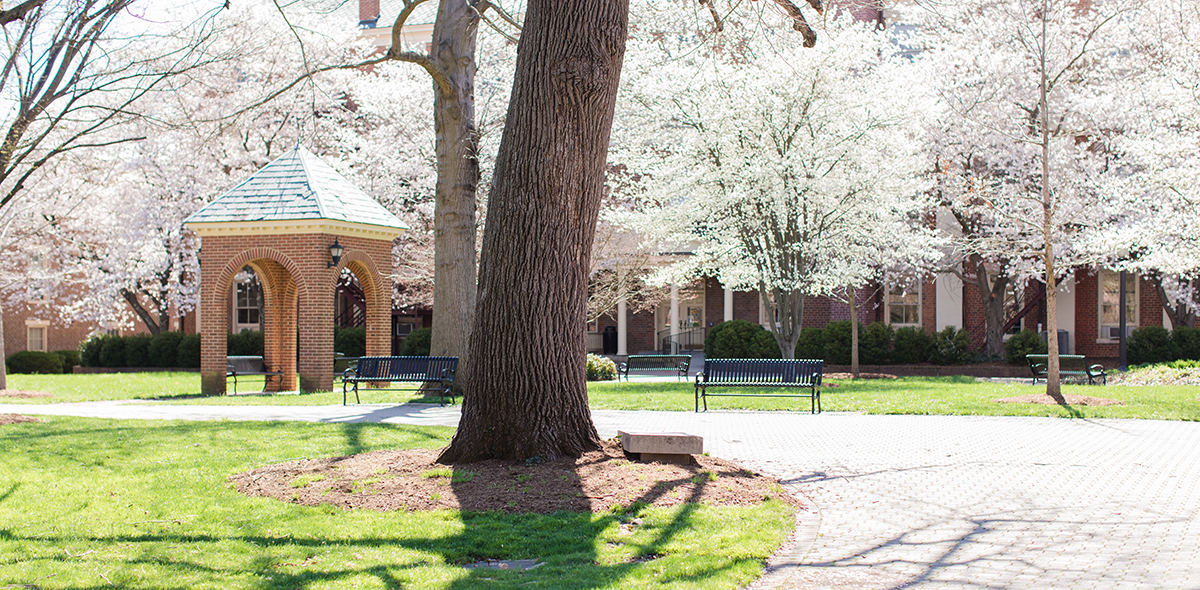 spring on the back quad