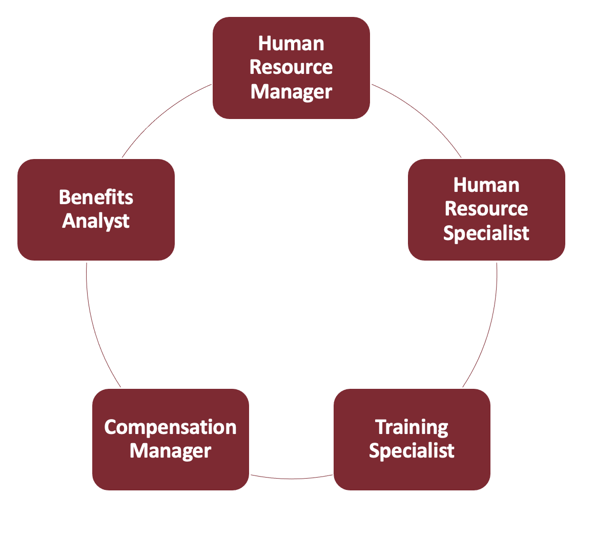 A circle with bubbles that state different kinds of human resource management careers. From the top clockwise it reads: human resource manager, human resource specialist, training specialist, compensation manager, benefits analyst