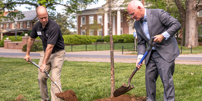 Two people with shovels dig dirt as a tree is planted