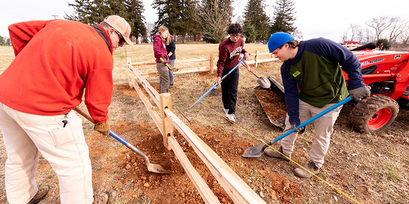 Multiple people work together to level out soil with shovels