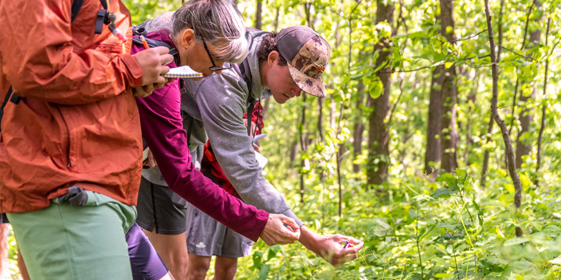 Professor Rachel Collins and a student lean forward, with their hands outstretched, to inspect plants growing alongside a mountain trail