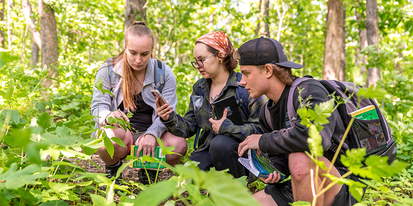 Three students, one referring to a screen on her phone, kneel down to inspect a plant along a mountain trail