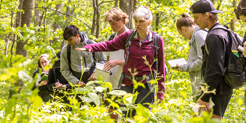 Professor Rachel Collins gestures with one hand outstretched as she points out details along a mountain trail surrounded by high-growing plants