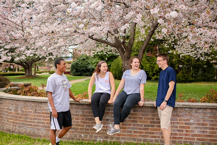 Photo of students in spring