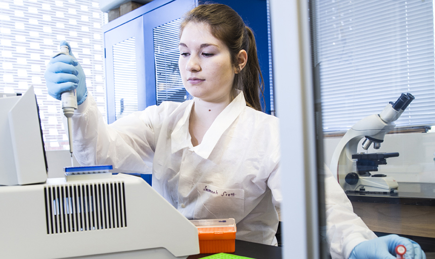 Intern working in a lab