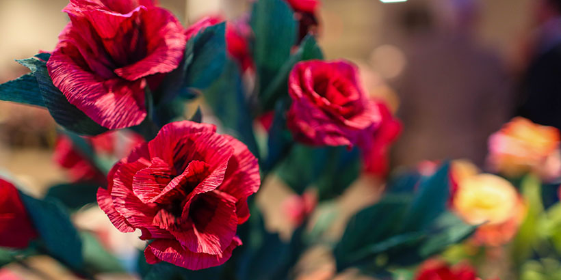 Close up picture of red roses